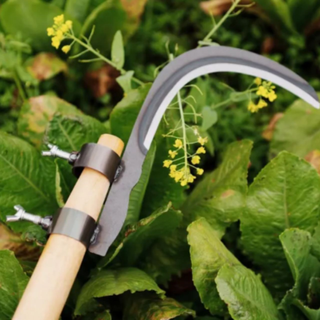 AgroTool, řezačka větví, plevele, trnů a vegetace - Image 9
