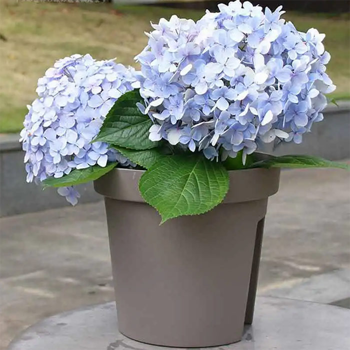 BalconyPots, květinové květináče na balkon (2 kusy) - Image 4