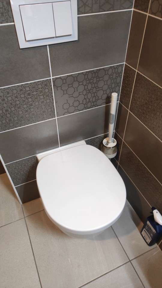 BestBrush, revoluční toaletní kartáček s tlačítkem pro vypouštění čističe - Image 10