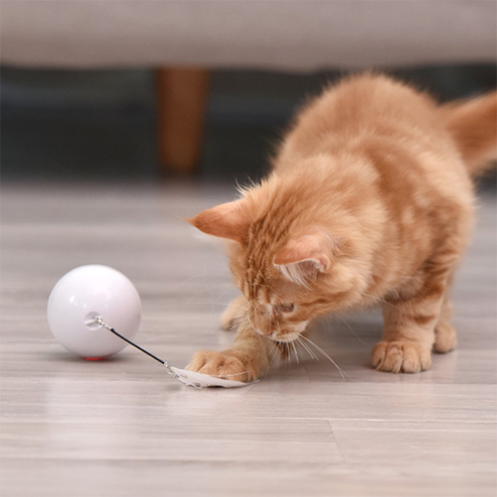 CatToy, hračka pro kočku, která utíká a mívá peříčkem - Image 2