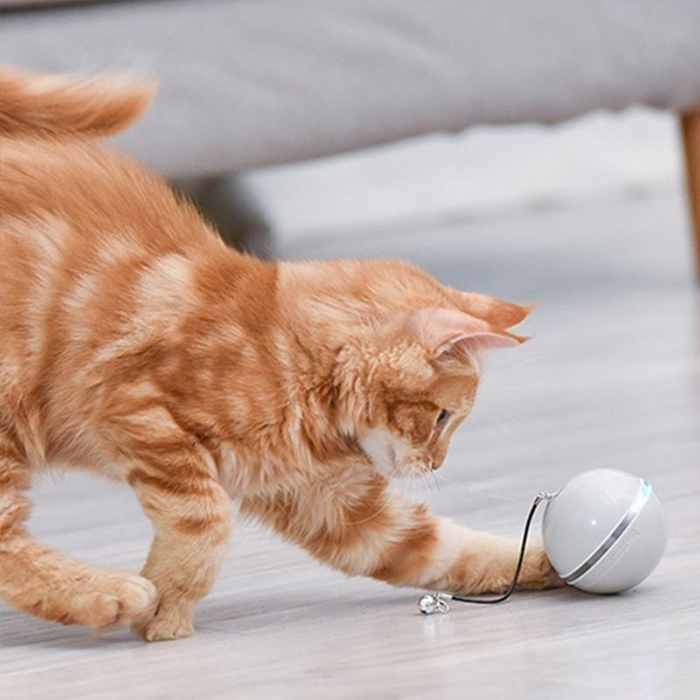 CatToy, hračka pro kočku, která utíká a mívá peříčkem - Image 3
