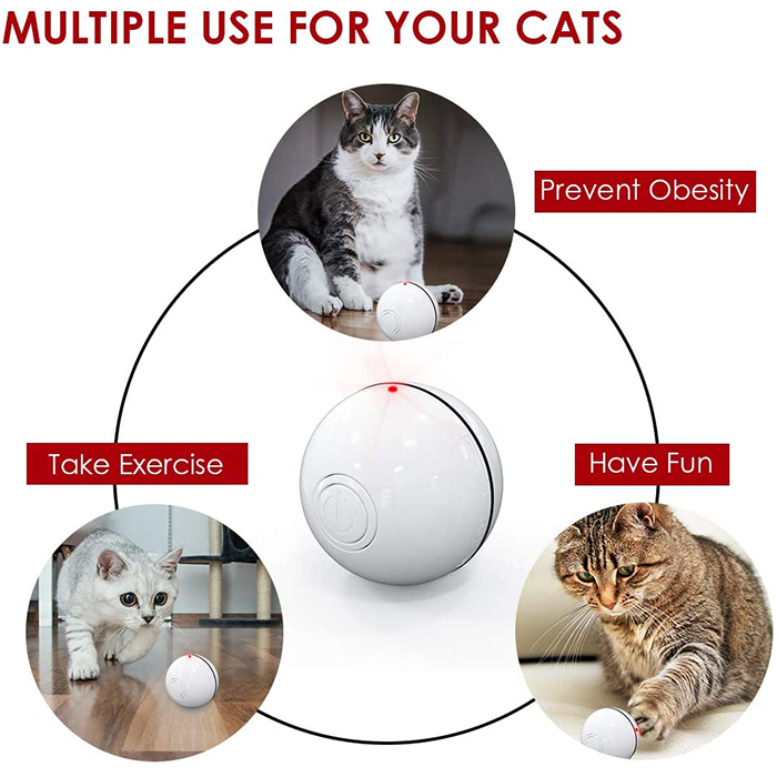 CatToy, hračka pro kočku, která utíká a mívá peříčkem - Image 6