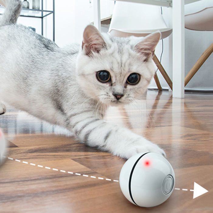 CatToy, hračka pro kočku, která utíká a mívá peříčkem - Image 10