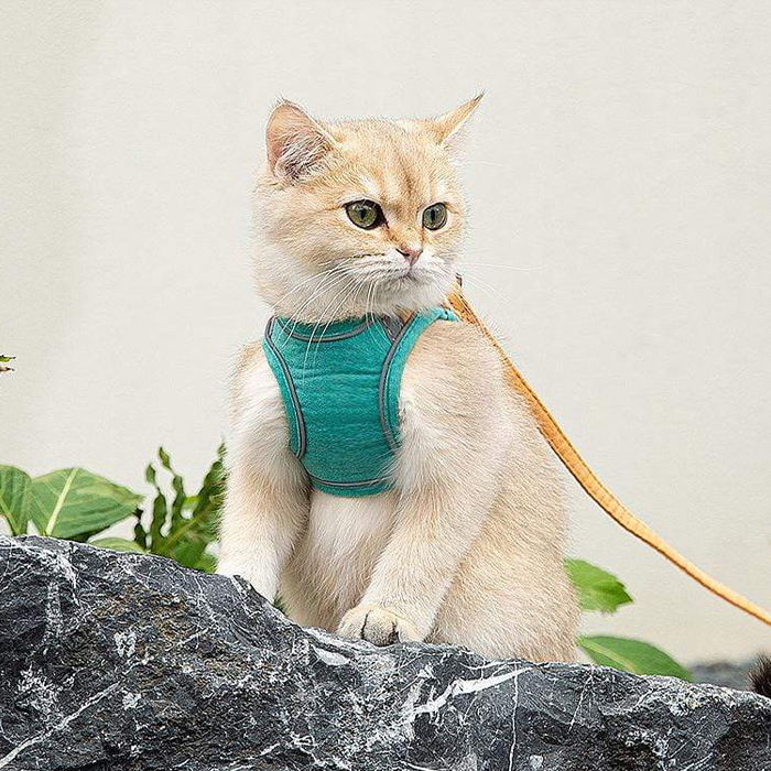 CatVest, bryndák na vodítko pro kočky - Image 3