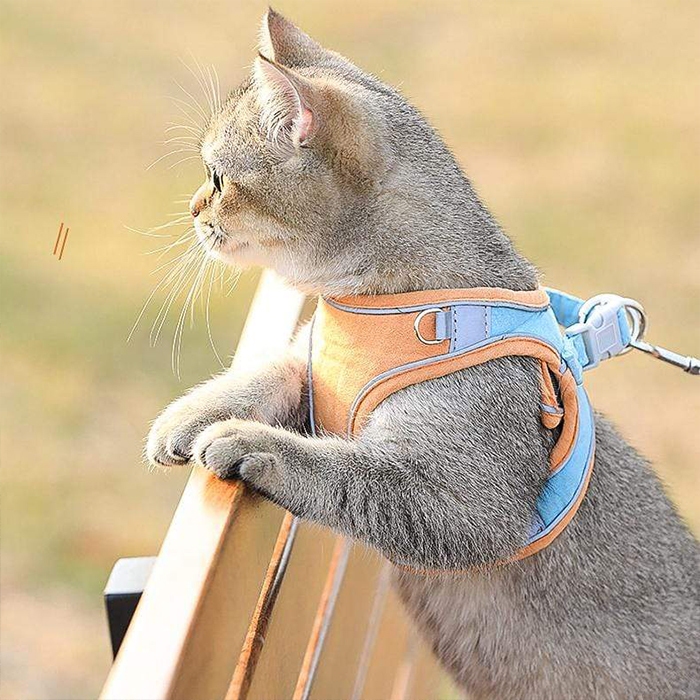 CatVest, bryndák na vodítko pro kočky - Image 4