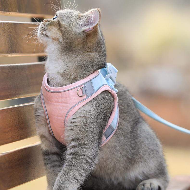 CatVest, bryndák na vodítko pro kočky - Image 5