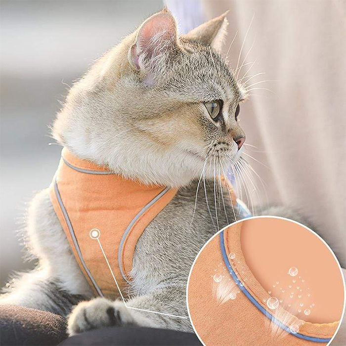 CatVest, bryndák na vodítko pro kočky - Image 9