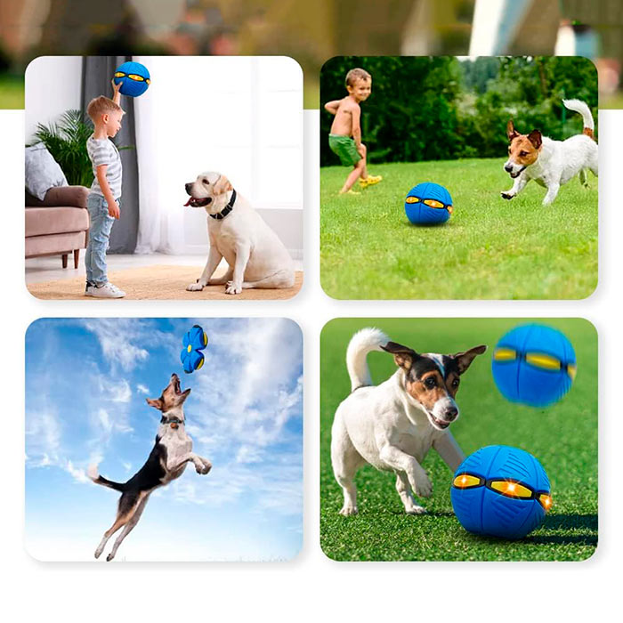 DiskBall, hračka pro psy, která je zároveň frisbee a míč - Image 7