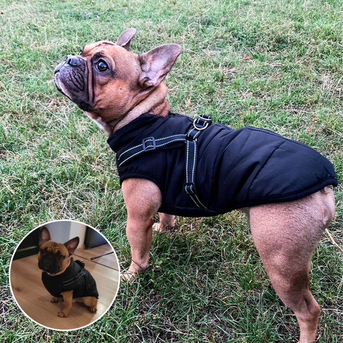 DogJacket, reflexní a voděodolný zimní kabát pro psy - Image 6