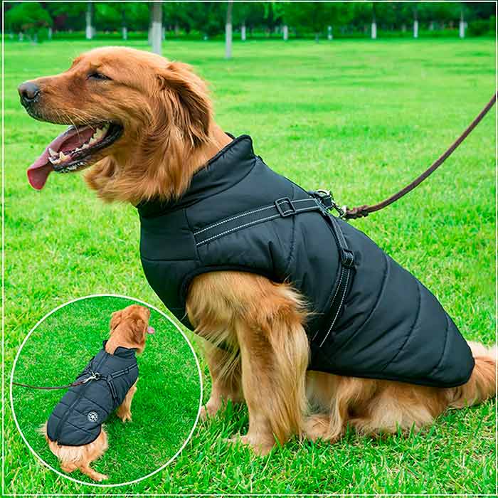 DogJacket, reflexní a voděodolný zimní kabát pro psy - Image 10