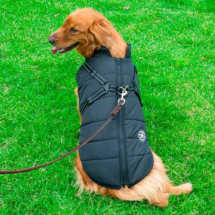 DogJacket, reflexní a voděodolný zimní kabát pro psy - Image 11