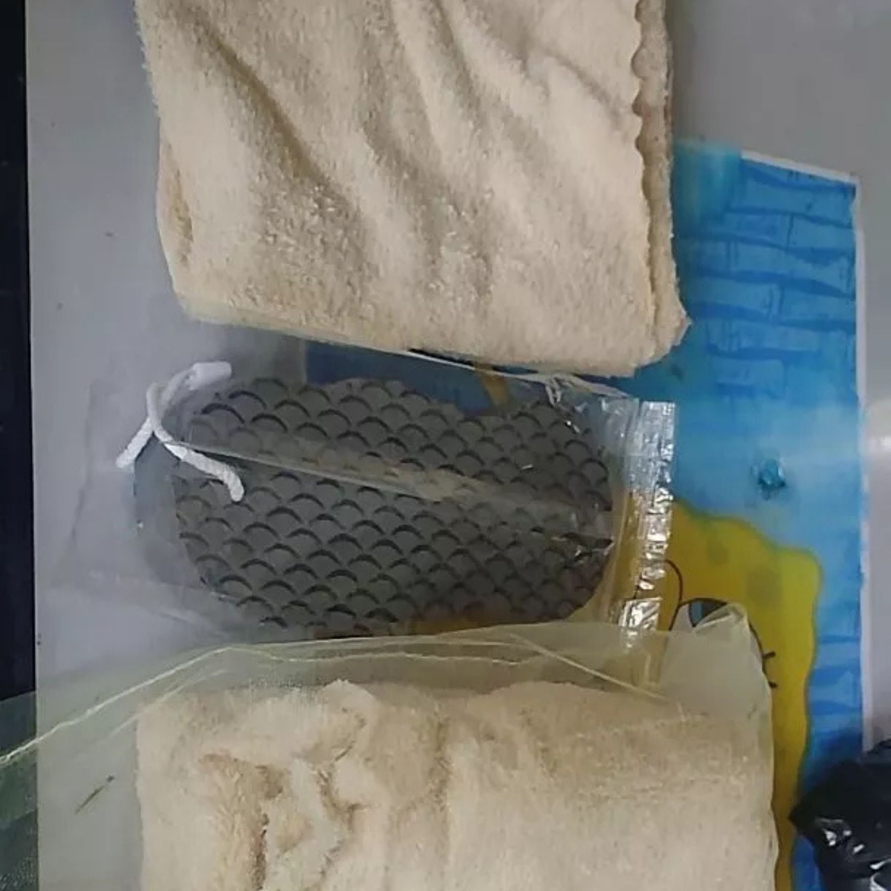 ExfoSponge, houba na exfoliaci pokožky - Image 7