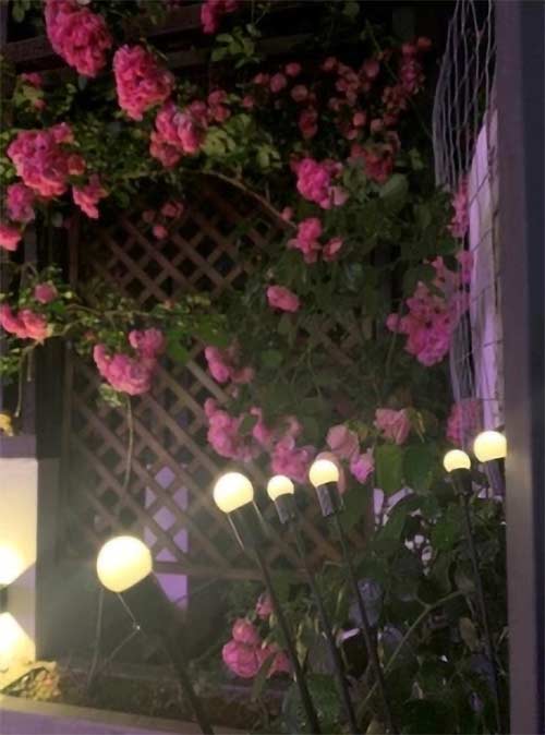FireflyLights, solární zahradní svítidlo se 6 světly - Image 10