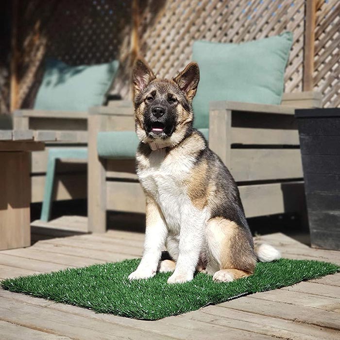 GrassMat, rohož se vzhledem přírodní trávy - Image 5
