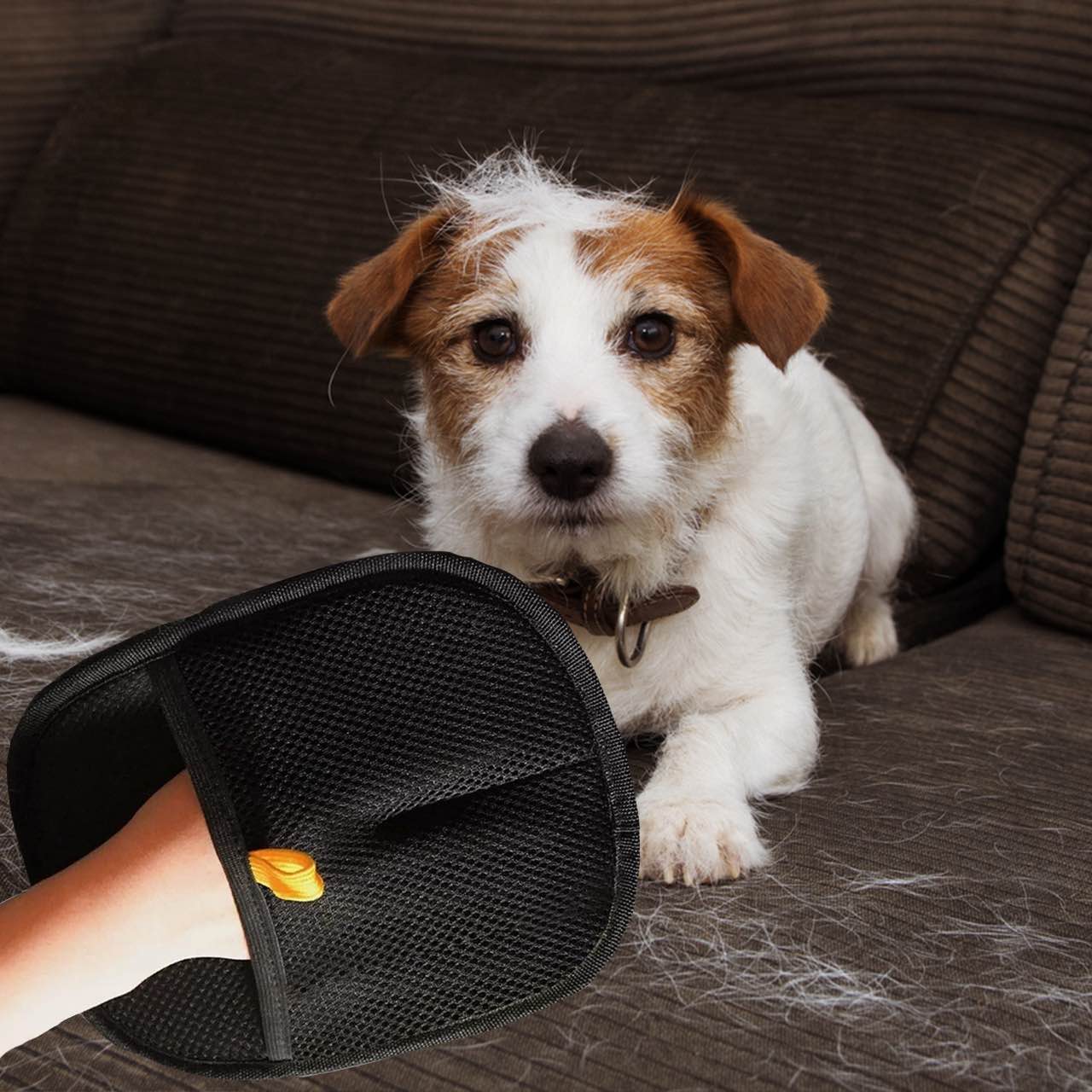 GroomyGlove, oboustranná rukavice na úpravu srsti domácích zvířat - Image 8