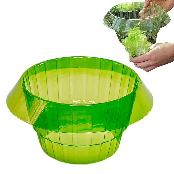 LettuceProtect