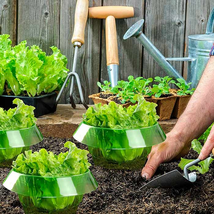 LettuceProtect, ochrana pro salát a další plodiny (10 kusů) - Image 6