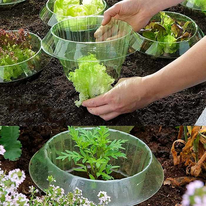 LettuceProtect, ochrana pro salát a další plodiny (10 kusů) - Image 9