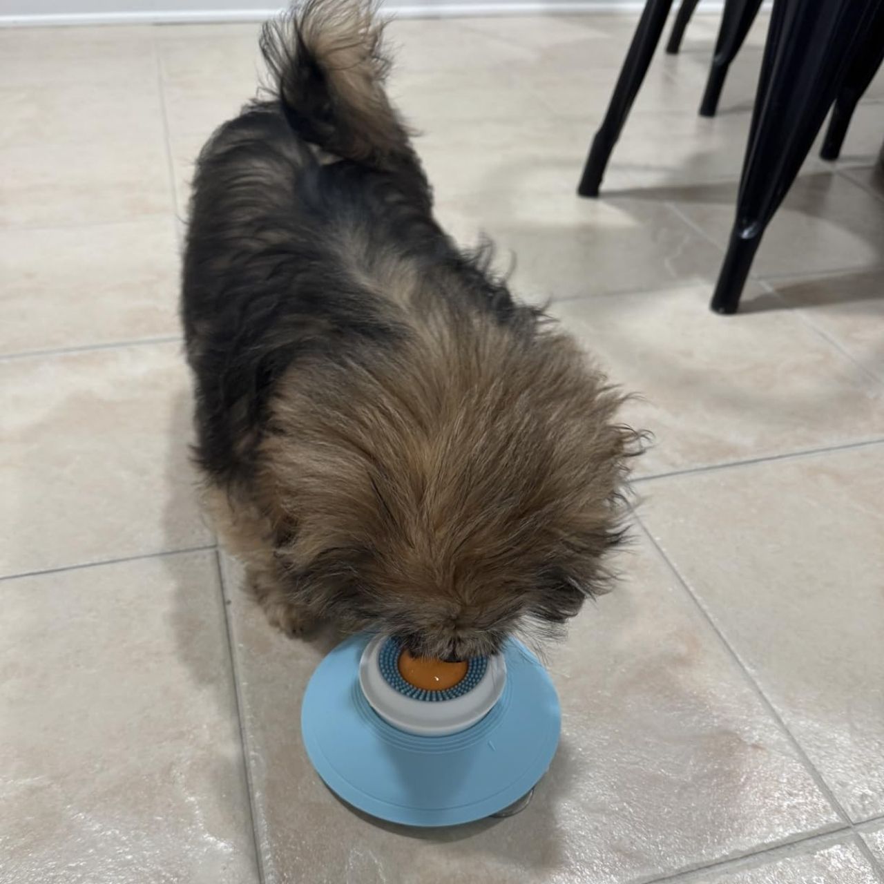 Interaktivní hračka pro pomalé krmení, Licky - Image 4