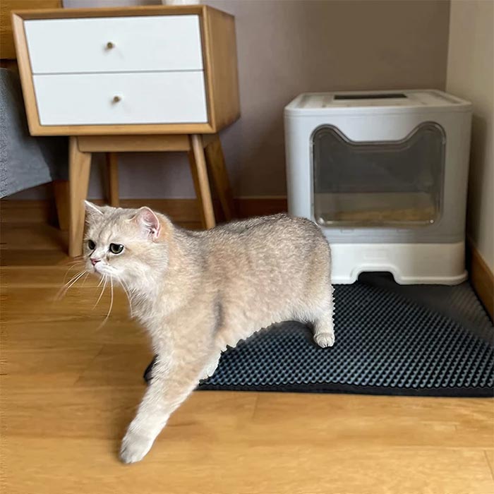 LitterMat, podložka pod kočičí stelivo, která zachycuje písek - Image 2