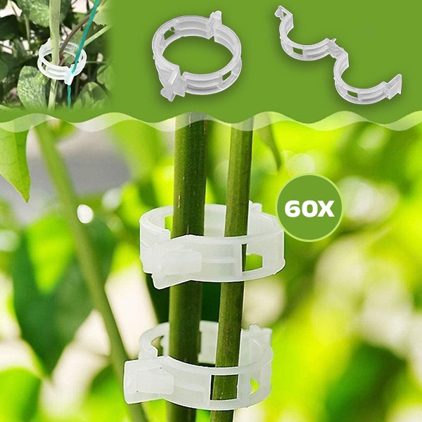 PLANTCLIP, GreenGrow Podpora pro Rostliny - 60 Spon - Image 5