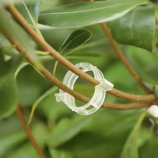 PLANTCLIP, GreenGrow Podpora pro Rostliny - 60 Spon - Image 6