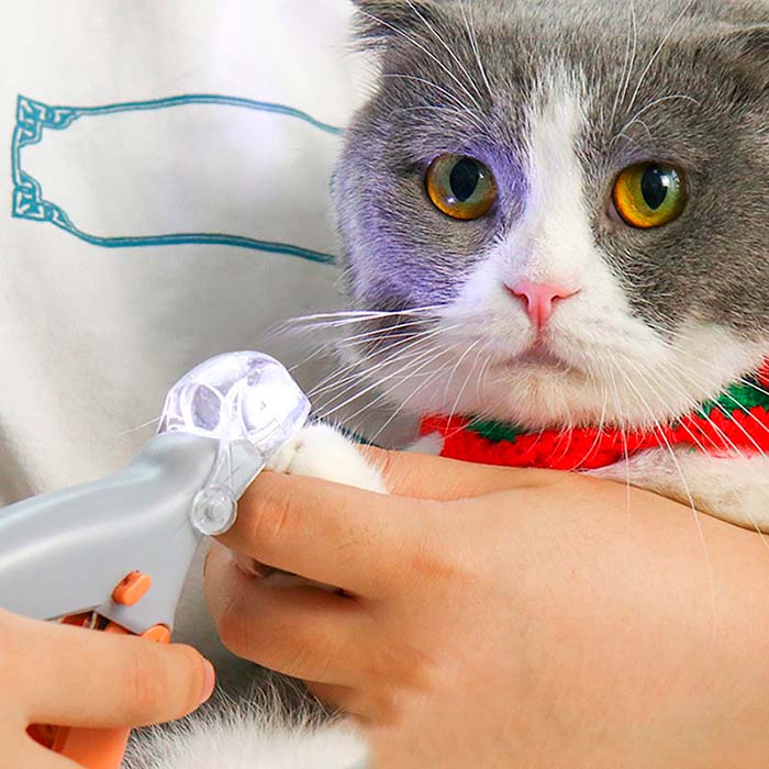 PawGloTrim, kleště na drápky se světlem LED - Image 7