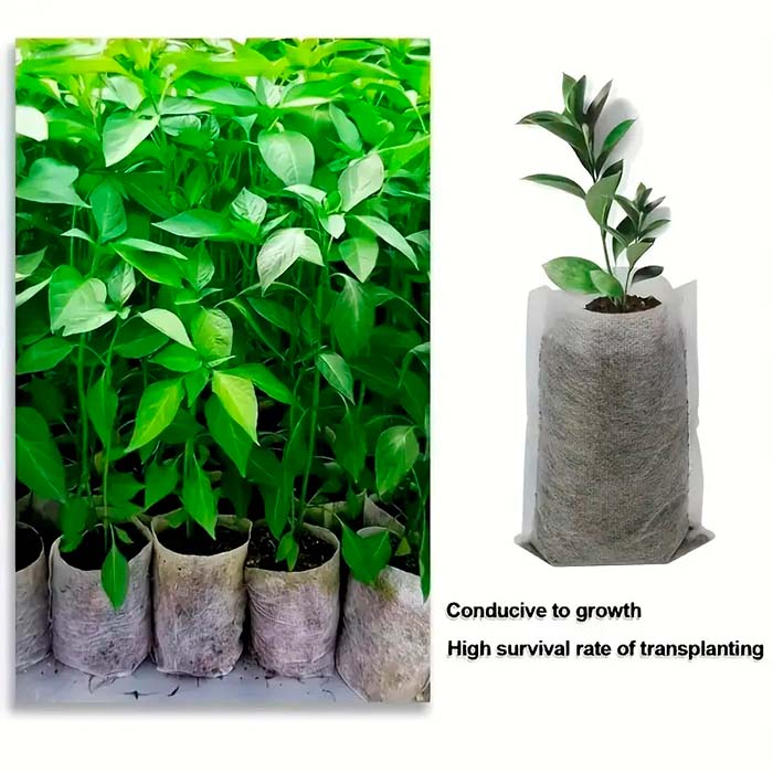 SeedBags, biodegradovatelné sáčky pro sázení a pěstování rostlin (100 ks) - Image 4
