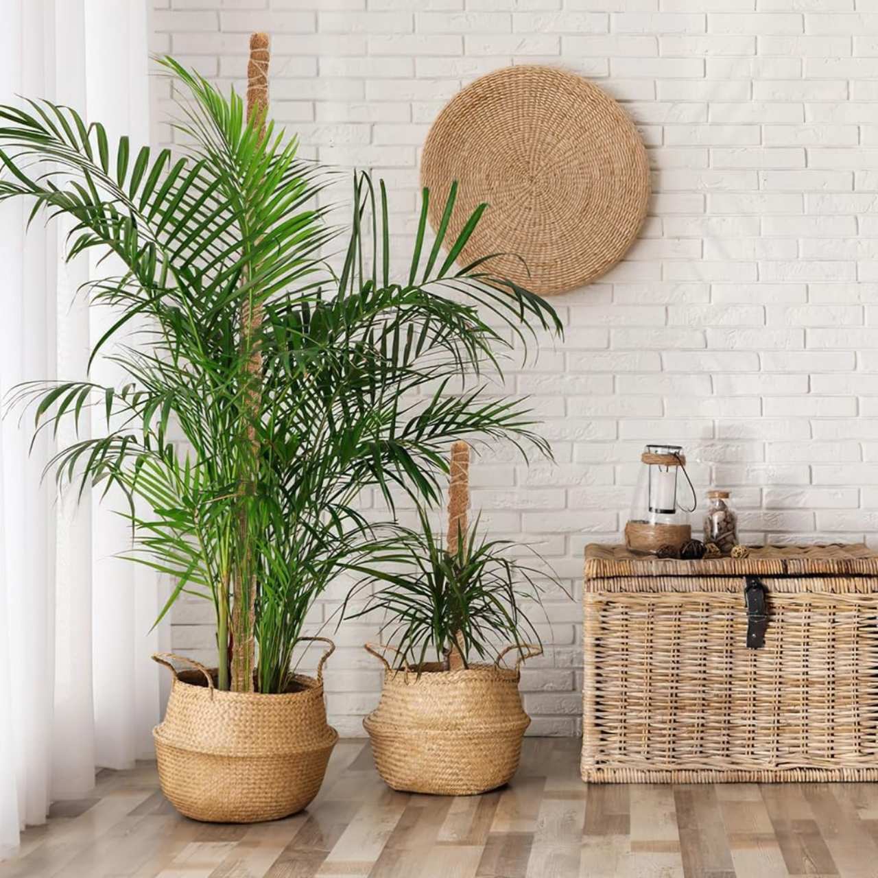 UniquePlant, podpůrný sloup pro rostliny - Image 10