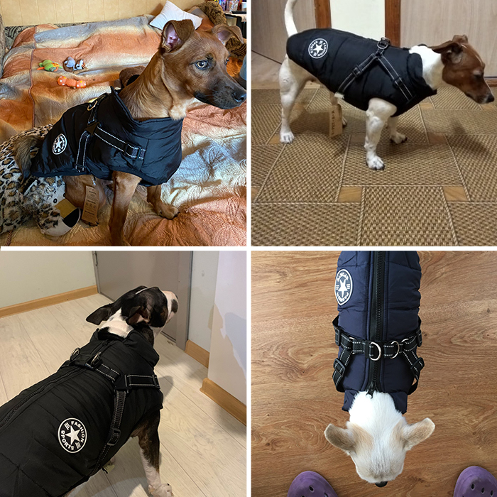 DogJacket, reflexní a voděodolný zimní kabát pro psy - Image 8